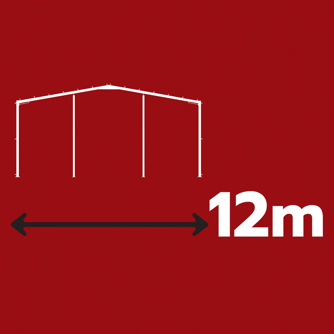 12m